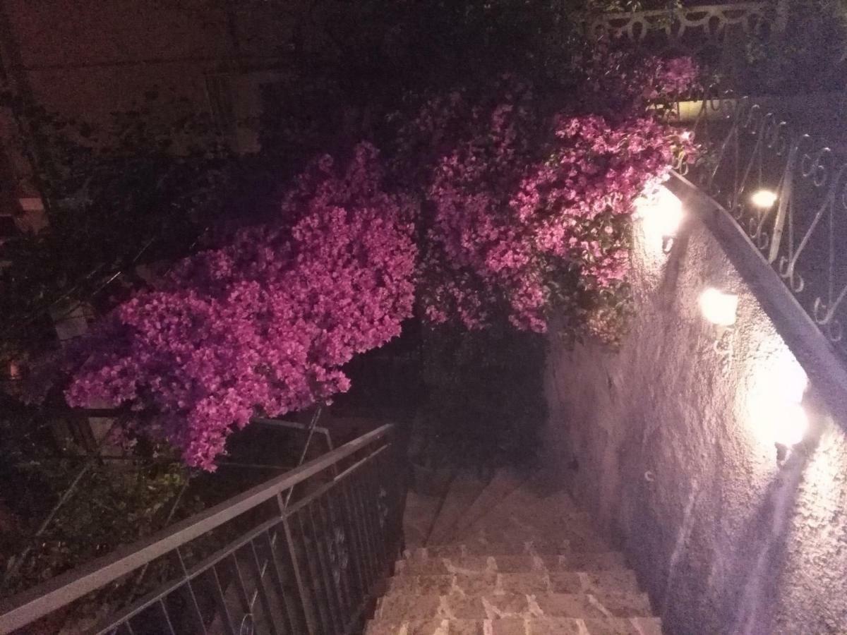 Casa Bouganville La Spezia Kültér fotó